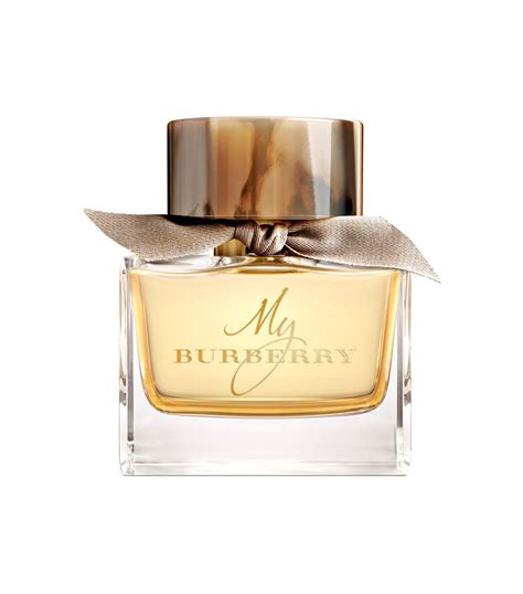 best rated burberry products|why do people like Burberry.